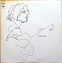 David Bromberg