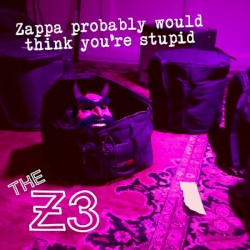 Zappa Probably Would Think You're Stupid