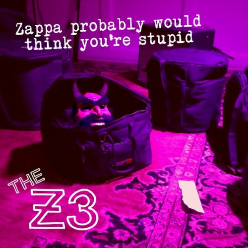 Zappa Probably Would Think You're Stupid