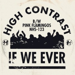 If We Ever / Pink Flamingos
