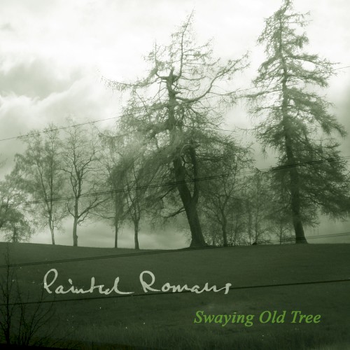 Swaying Old Tree