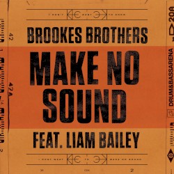 Make No Sound
