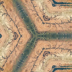 Desert Wanderings