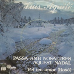 Passa amb nosaltres aquest Nadal