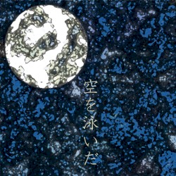 空を泳いだ