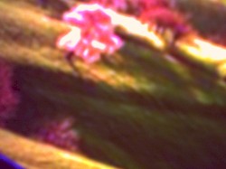 hill