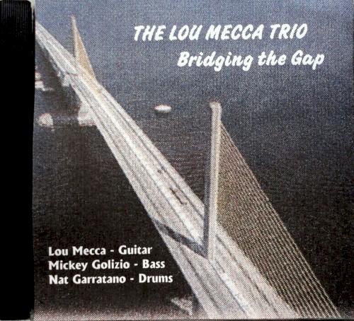 Bridging the Gap