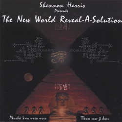 The New World Reveal-A-Solution
