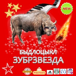 Зубрзвезда