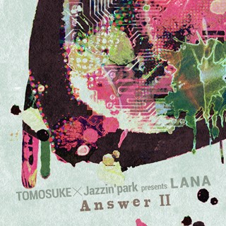 LANA -Answer II-