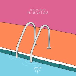 Mr. Brightside