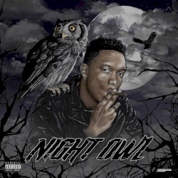 NIGHT OWL