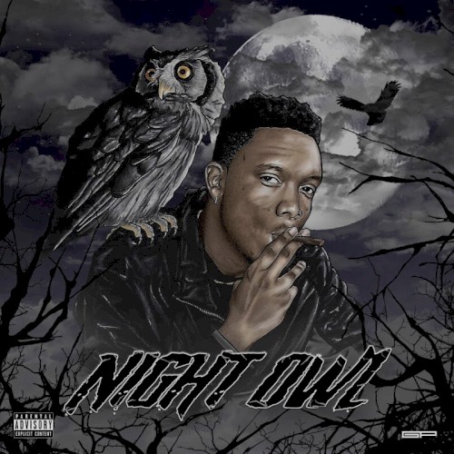 NIGHT OWL