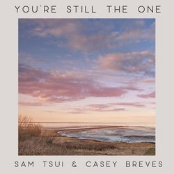 You're Still the One (Piano Acoustic)