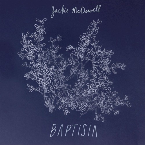 Baptisia