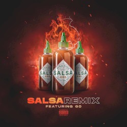 Salsa (remix)