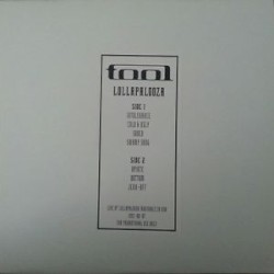 1993-08-07: Lollapalooza, Santa Fe Dam, Irwindale, CA