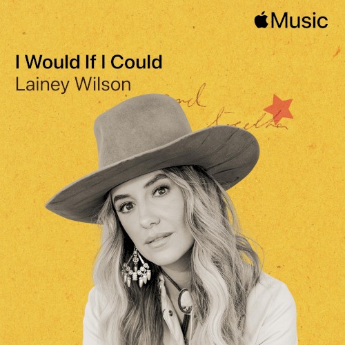 I Would If I Could