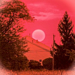 Red Desert
