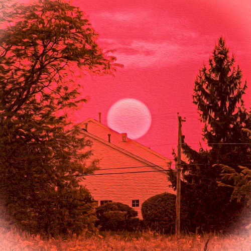 Red Desert
