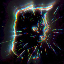 Petit chat
