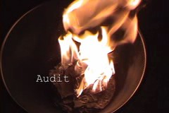 Audit (Project Direct)