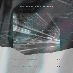 We Own the Night
