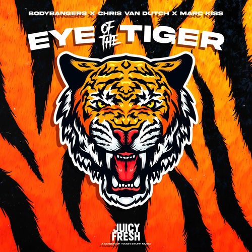 Eye of the Tiger
