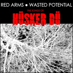 The Songs of Hüsker Dü