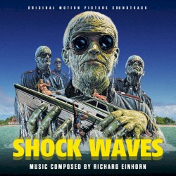Shock Waves