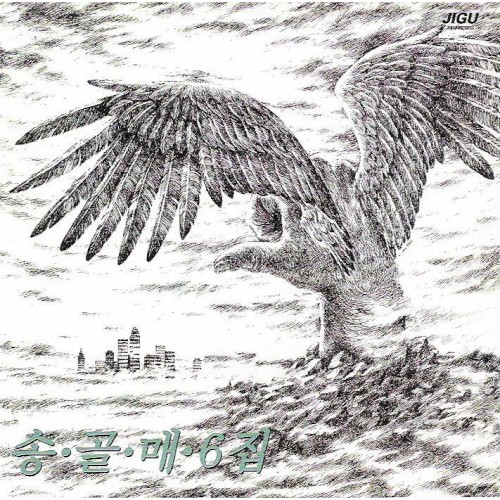 송골매 6