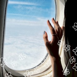 Blue Flight