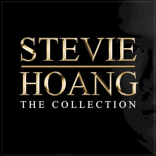 Stevie Hoang: The Collection