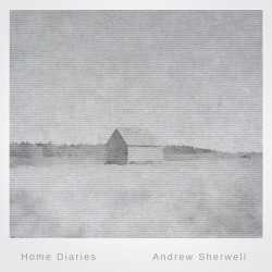 Home Diaries 004