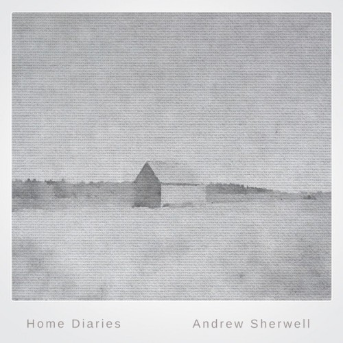 Home Diaries 004