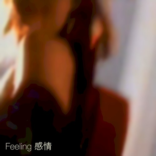 Feeling 感情
