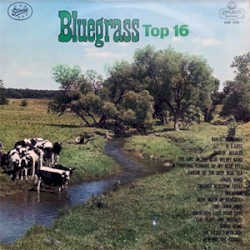 Bluegrass Top 16