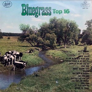 Bluegrass Top 16