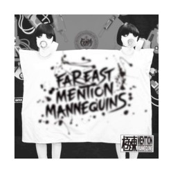 Femm-Isation