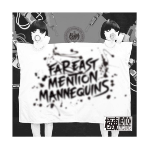 Femm-Isation