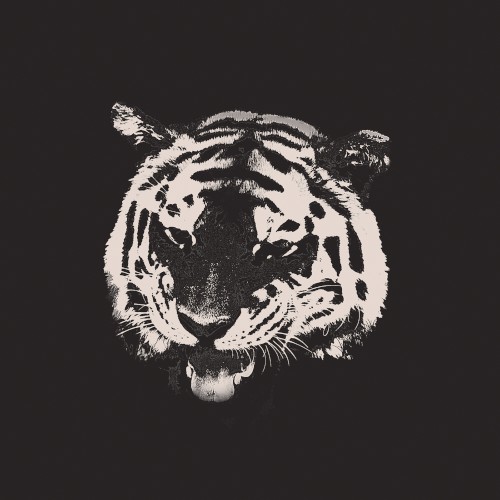 Six Dead Tigers