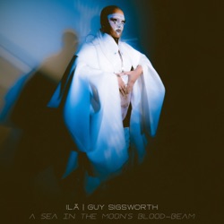 a sea in the moon's blood‐beam