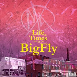 Life & Times of BigFly