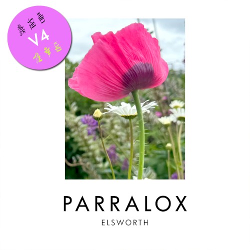 Elsworth V4