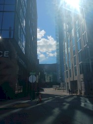 blue light and the bloody concrete (state law)