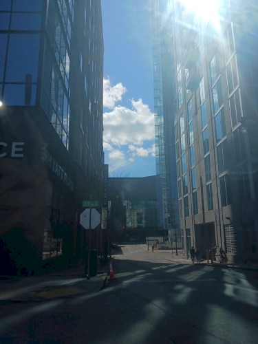 blue light and the bloody concrete (state law)