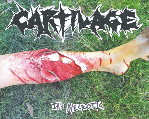 It's Necrotic