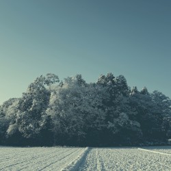 Log 4