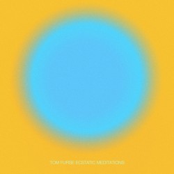 Ecstatic Meditations