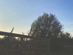 sunhouse under the trees